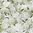 Обои Designers Guild Foscari Fresco with paint Litho PDG1094-03