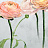 Обои Designers Guild Foscari Fresco with paint Litho PDG1099-01