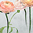 Обои Designers Guild Foscari Fresco with paint Litho PDG1099-01