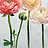 Обои Designers Guild Foscari Fresco with paint Litho PDG1100-01