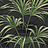 Обои Wallquest Maui Maui TP80600