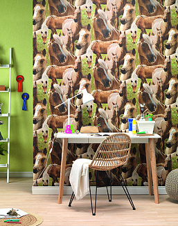 Обои Rasch Kids & Teens II 293104