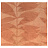 Обои Grandeco Botanical BA2104