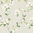 Обои York Blooms II Resource Library BL1762