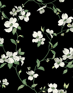 Обои York Blooms II Resource Library BL1764