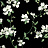 Обои York Blooms II Resource Library BL1764