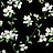 Обои York Blooms II Resource Library BL1764