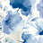 Обои York Blooms II Resource Library BL1773