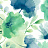 Обои York Blooms II Resource Library BL1774