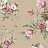 Обои Borastapeter Dreamy Escape 4250