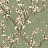 Обои Aura Spring 1903-4