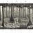 Обои Paul Montgomery Studio Book of Murals (Mural Sources) PN-700-GR1/Grey