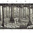 Обои Paul Montgomery Studio Book of Murals (Mural Sources) PN-700-GR1/Grey