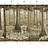 Обои Paul Montgomery Studio Book of Murals (Mural Sources) PN-700-GR1/Sepia