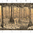 Обои Paul Montgomery Studio Book of Murals (Mural Sources) PN-700-GR1/Sunset