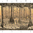 Обои Paul Montgomery Studio Book of Murals (Mural Sources) PN-700-GR1/Sunset
