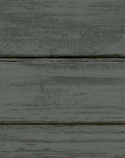 Обои York Natural Digest ND3055