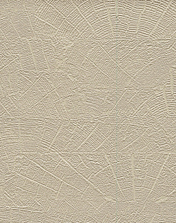 Обои York Natural Digest ND3062