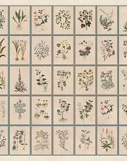 Панно и фотообои Iksel Standart Collection vol. II Renaissance Herbier