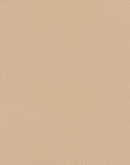 Обои Rasch African Queen III 752694