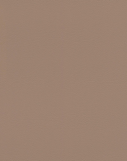 Обои Rasch African Queen III 752724