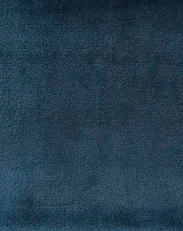 Ткань Дом Caro Velvet Velvet/65
