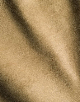 Ткань Studioart Rapido Velluto/OliveBrown