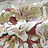 Ткань Dana Panorama Azalea Azalea/Porcelain