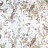 Ткань Dana Panorama Feliz FelizLight/Natural