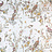 Ткань Dana Panorama Feliz FelizLight/Natural