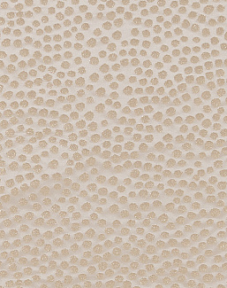 Ткань Duralee Pirouette - Powder, Buff, Flax DD61818/88