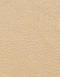 Ткань Duralee Pirouette - Dune, Chino, Driftwood DD61818/264