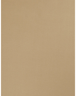 Ткань Trend Sleek Satin vol. II 02022-T/Khaki