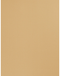 Ткань Trend Sleek Satin vol. II 02022-T/Buff