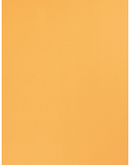 Ткань Trend Sleek Satin vol. II 02022-T/Mimosa