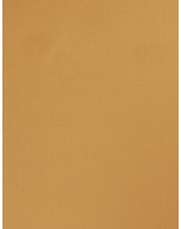 Ткань Trend Sleek Satin vol. II 02022-T/Beeswax
