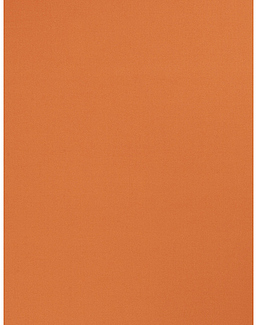 Ткань Trend Sleek Satin vol. II 02022-T/Melon