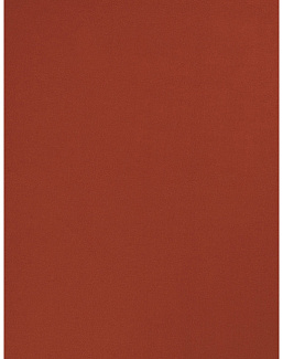 Ткань Trend Sleek Satin vol. II 02022-T/Auburn