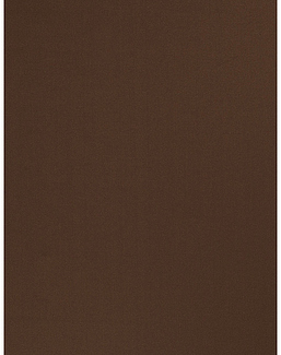 Ткань Trend Sleek Satin vol. II 02022-T/Chocolate