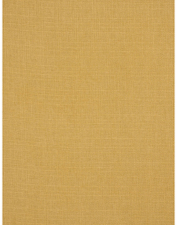 Ткань Trend Mammoth Twill 04466/Gold