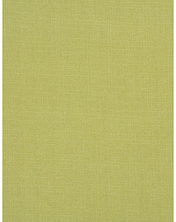 Ткань Trend Mammoth Twill 04466/Pear