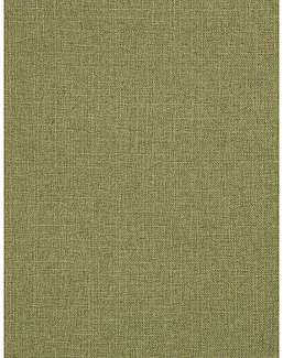 Ткань Trend Mammoth Twill 04466/Cactus
