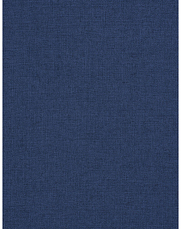 Ткань Trend Mammoth Twill 04466/Captian