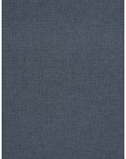 Ткань Trend Mammoth Twill 04466/Navy