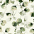 Обои York Elegant Earth (Antonina Vella) OG0588