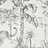 Обои Aura Lost Island 108598