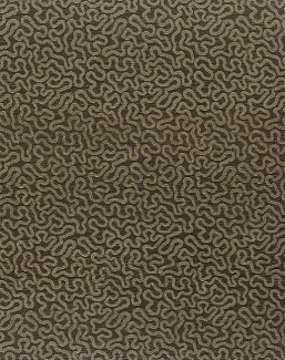 Ткань Thibaut Woven Resource vol.7 Companions W79652