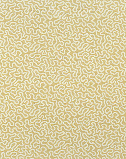 Ткань Thibaut Woven Resource vol.7 Companions W79656
