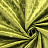 Ткань Prestigious Textiles Perfect Plains 7139/620