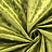 Ткань Prestigious Textiles Perfect Plains 7139/620